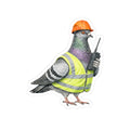 Red Hook NYC Pigeon 3" x 3" Sticker