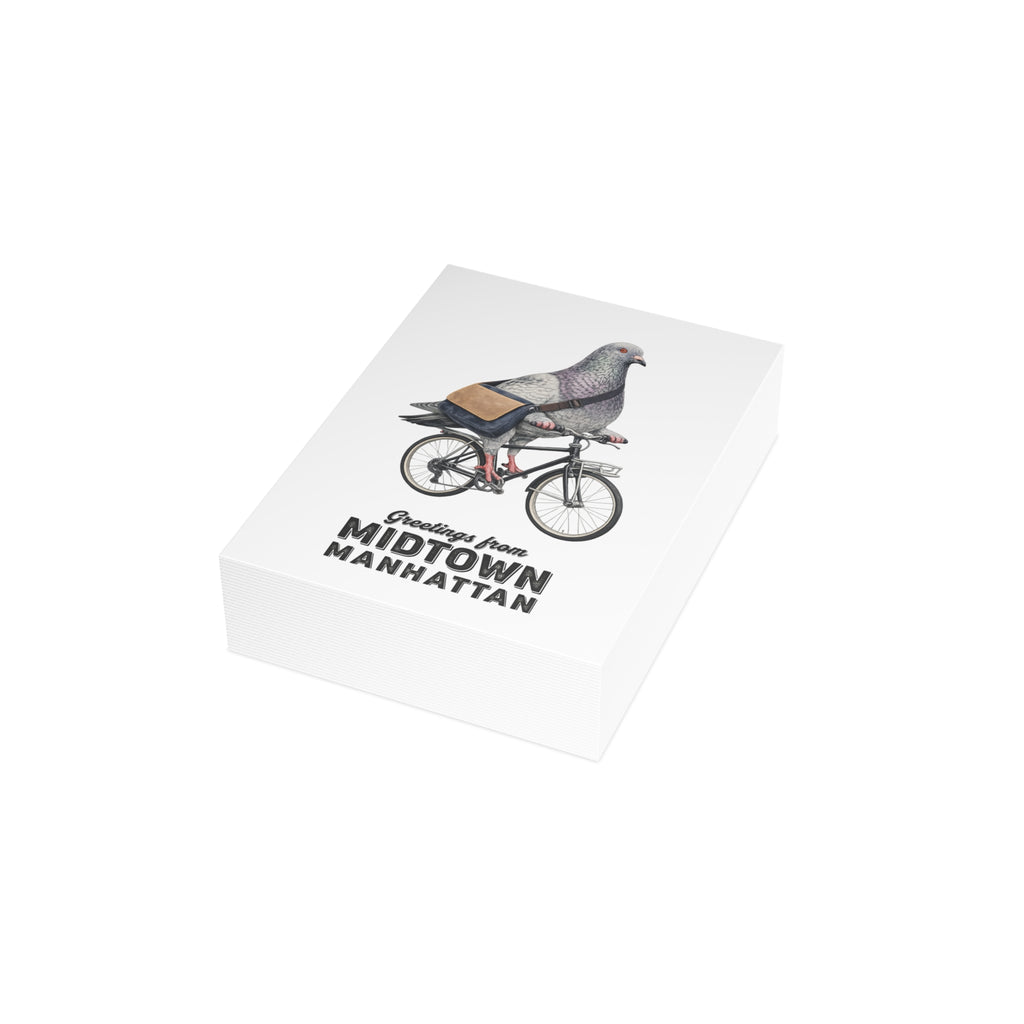 Midtown Manhattan NYC Pigeon Postcard Bundle (envelopes included)