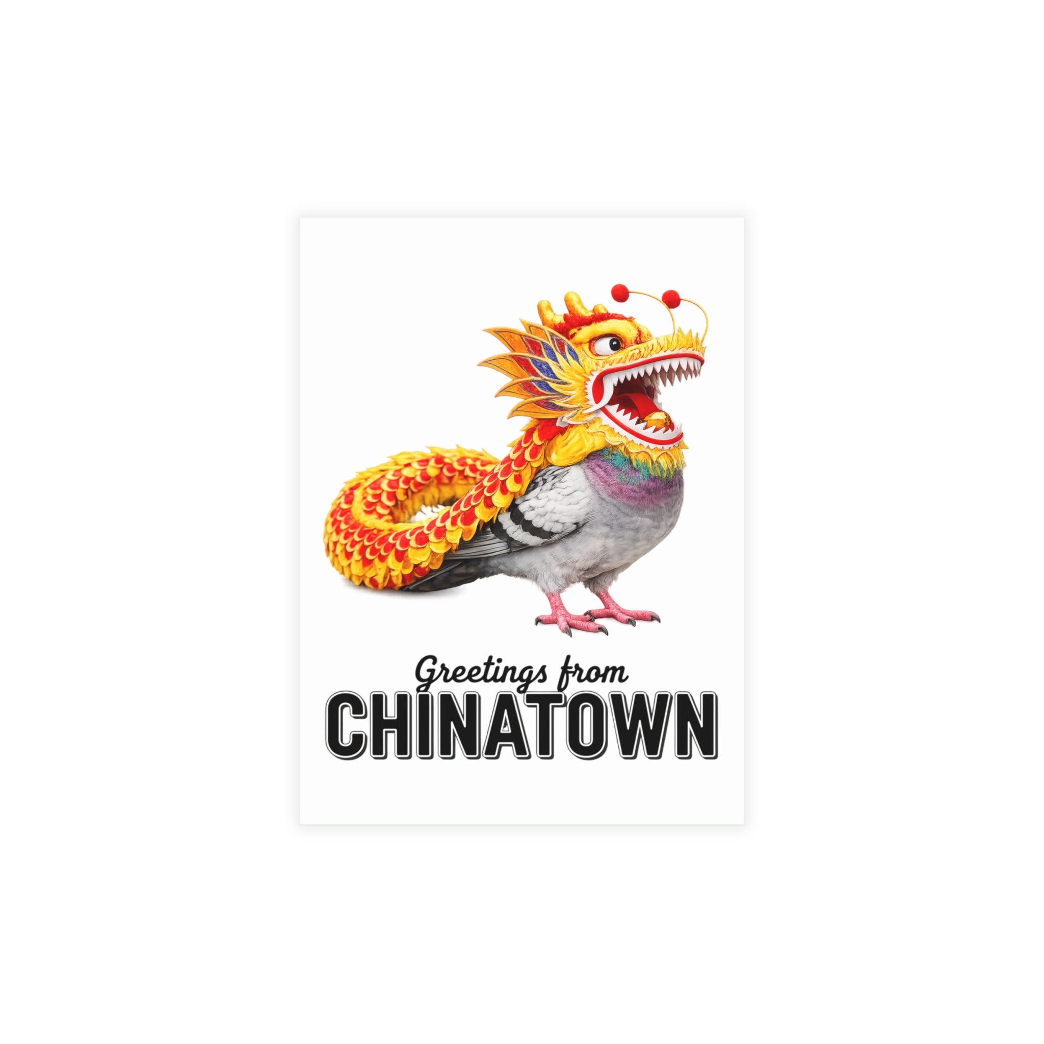 Chinatown NYC Pigeon Postcard Bundle (envelopes included)