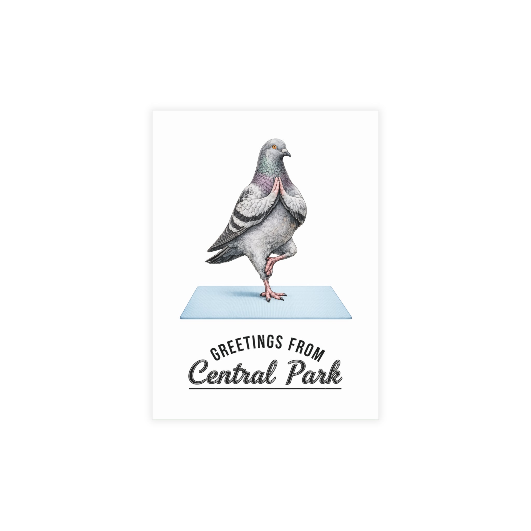 Central Park NYC Pigeon Postcard Bundle (envelopes included)