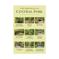 The Bridges of Central Park Rolled Poster | Central Park New York Poster