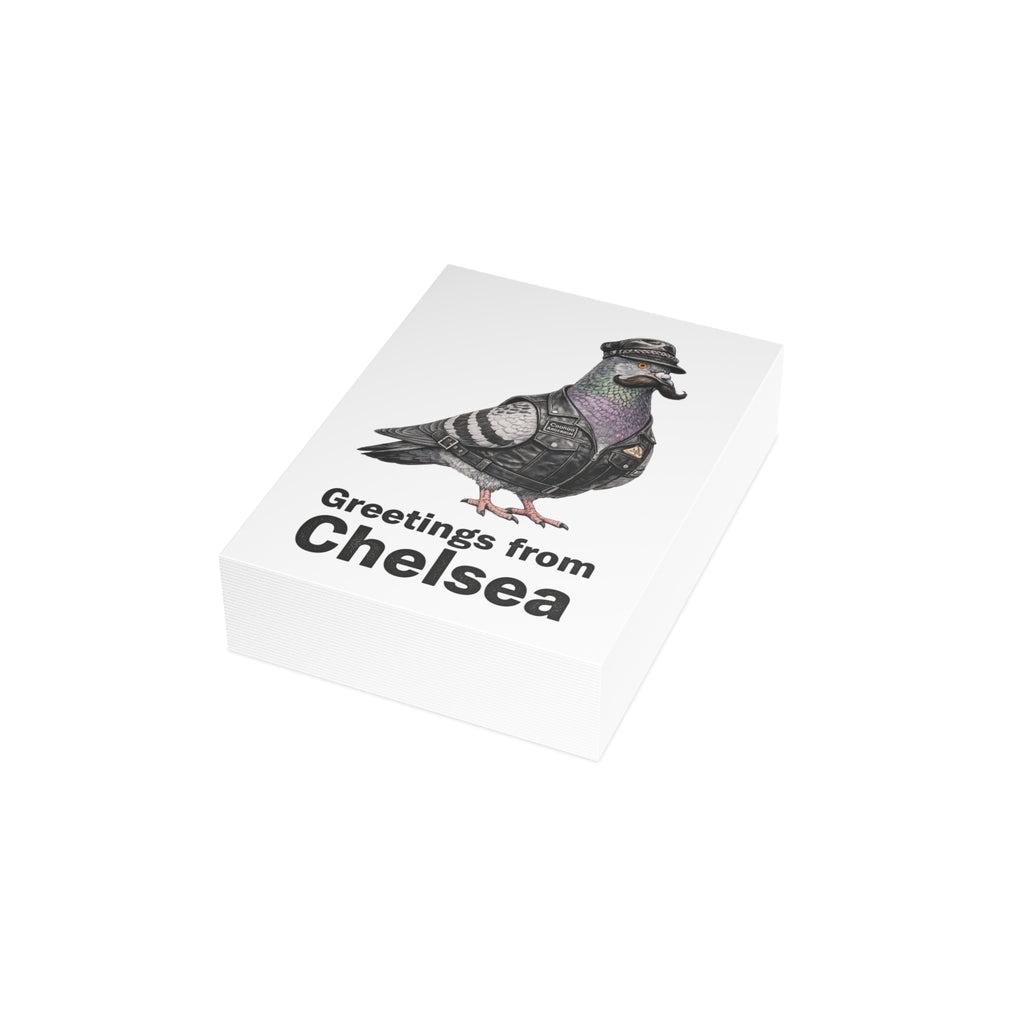 Chelsea NYC Pigeon Postcard Bundle (envelopes included)