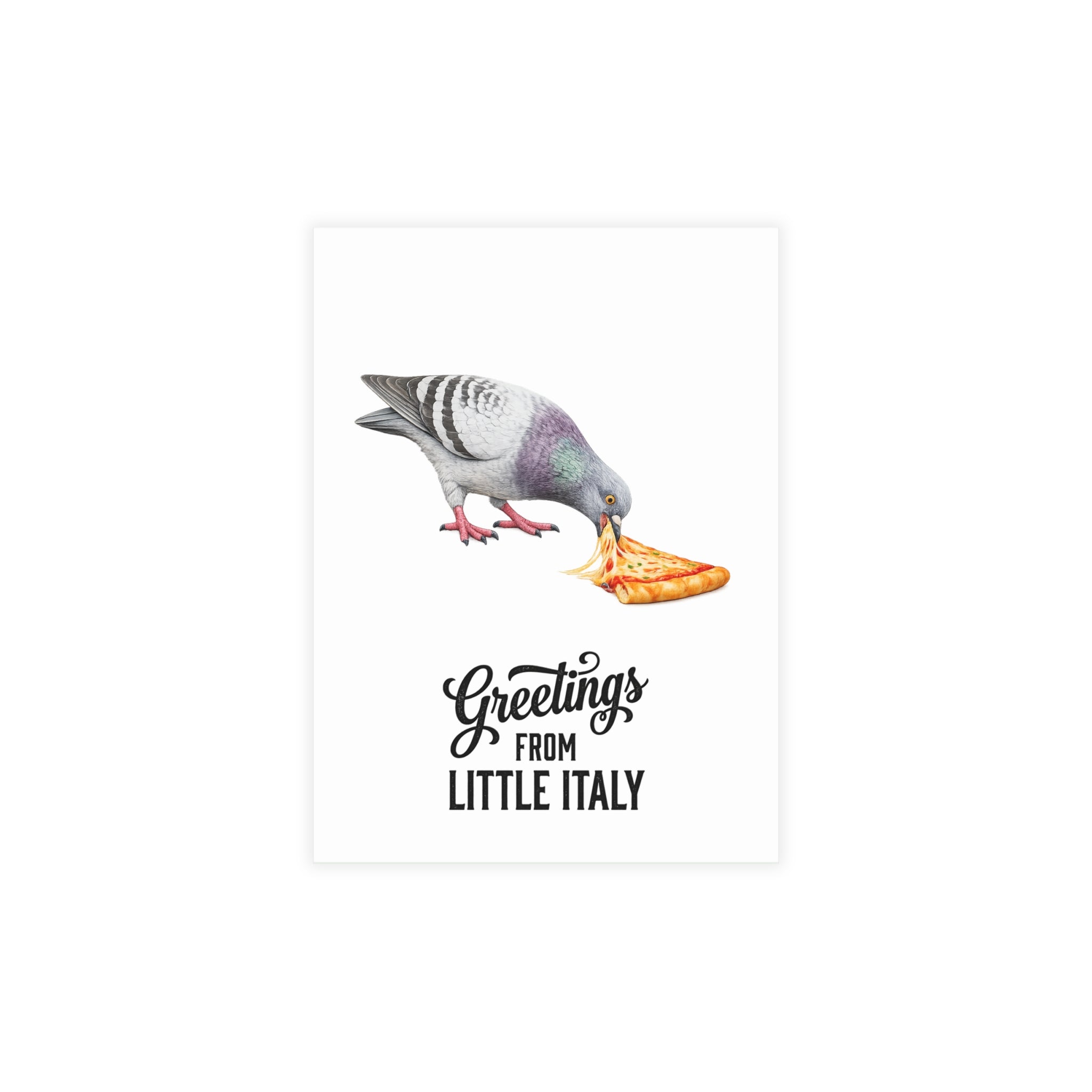 Little Italy NYC Pigeon Postcard Bundle (envelopes included)