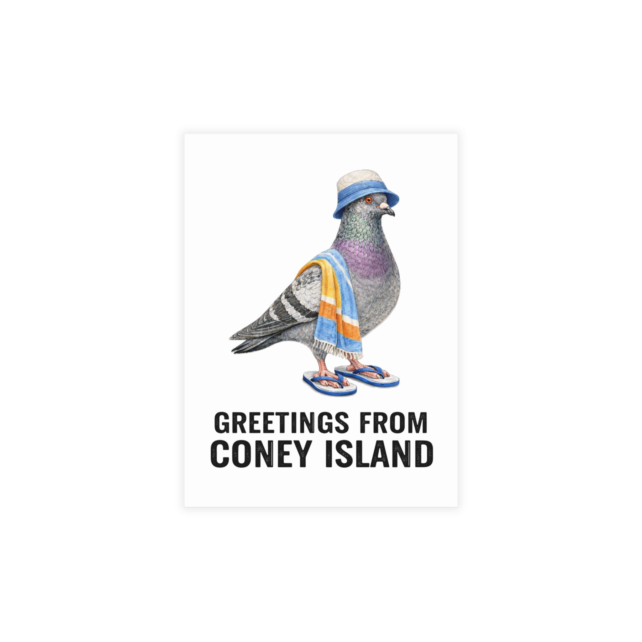 Coney Island NYC Pigeon Postcard Bundle (envelopes included)