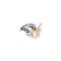 Flushing NYC Pigeon Magnet | Chinese Food Bro Bird Lover Fridge Magnet