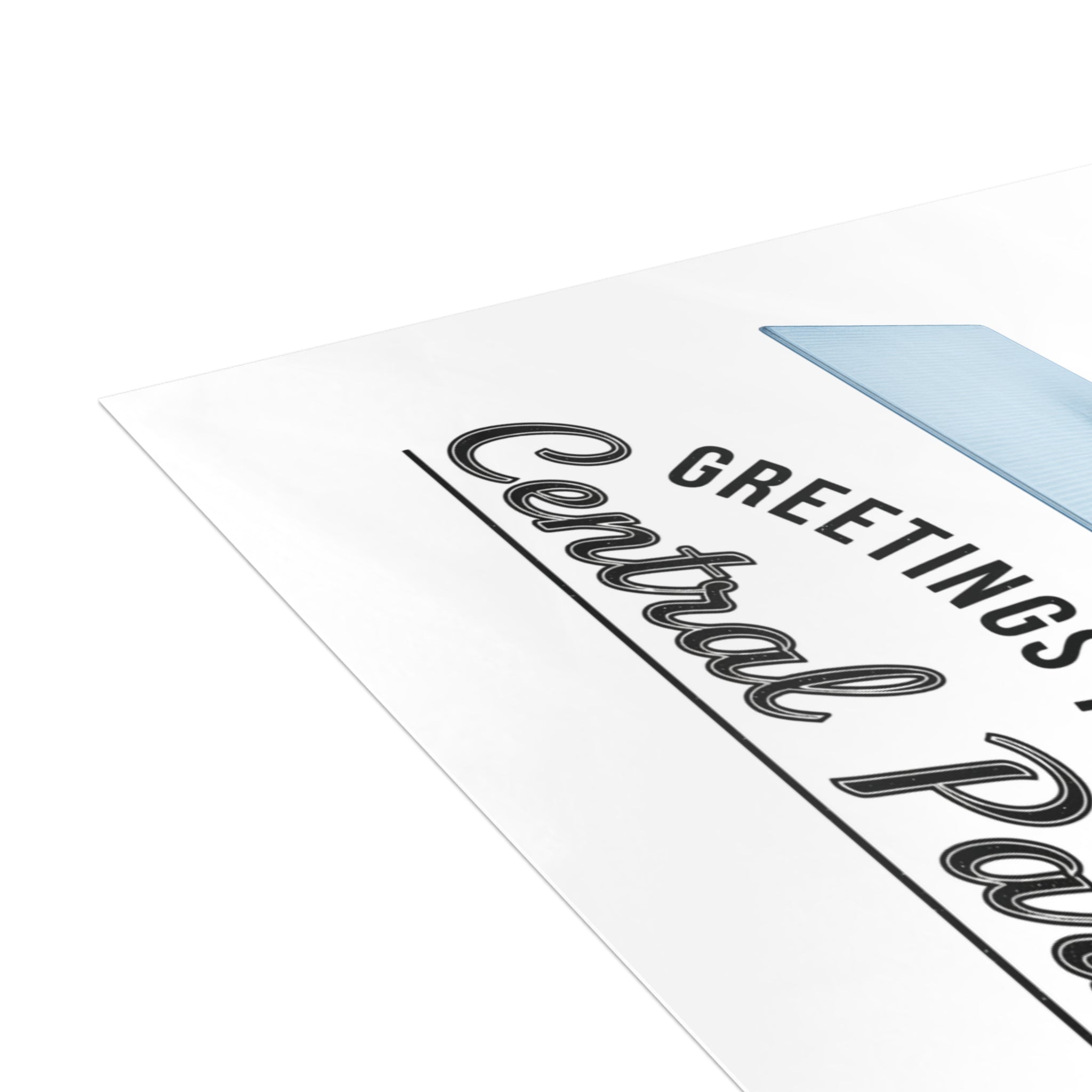 Central Park NYC Pigeon Postcard Bundle (envelopes included)