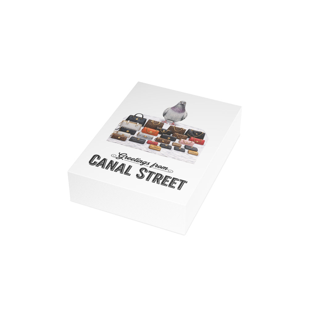 Canal Street NYC Pigeon Postcard Bundle (envelopes included)