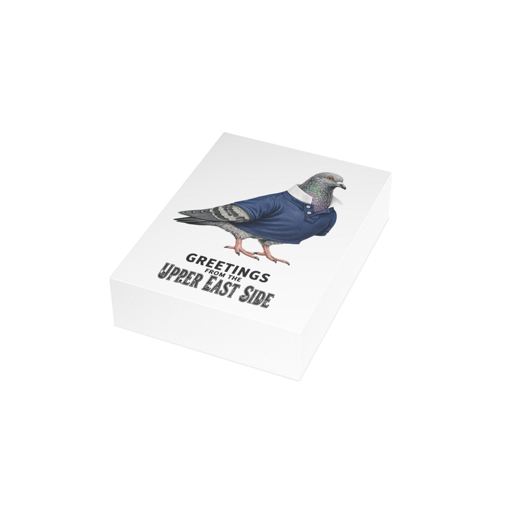 Upper East Side NYC Pigeon Postcard Bundle (envelopes included)