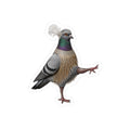 Rockefeller Center NYC Pigeon 3" x 3" Sticker