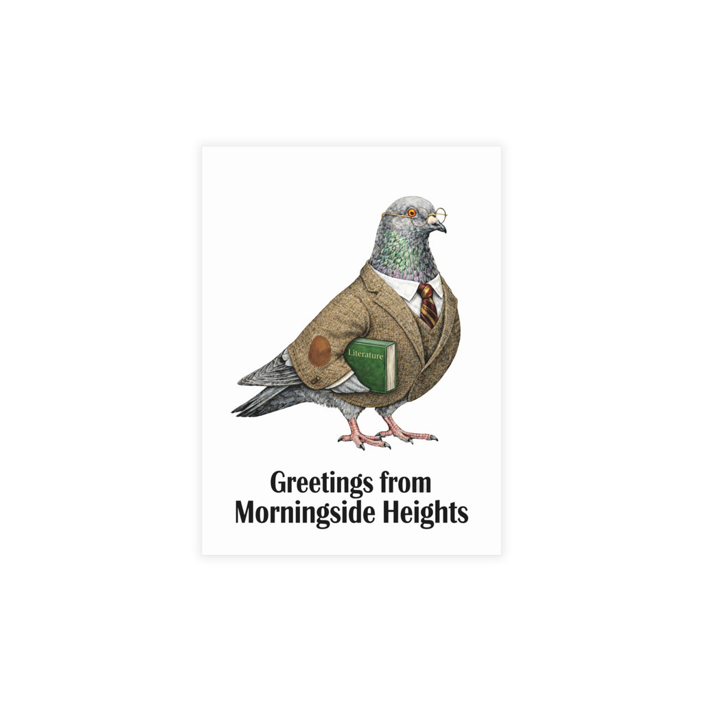 Morningside Heights NYC Pigeon Postcard Bundle (envelopes included)