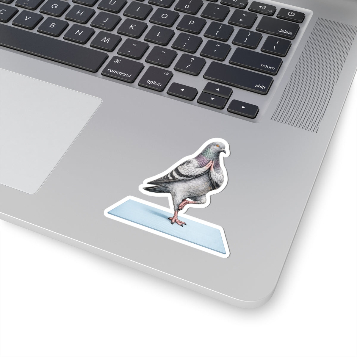Central Park NYC Pigeon 3" x 3" Sticker