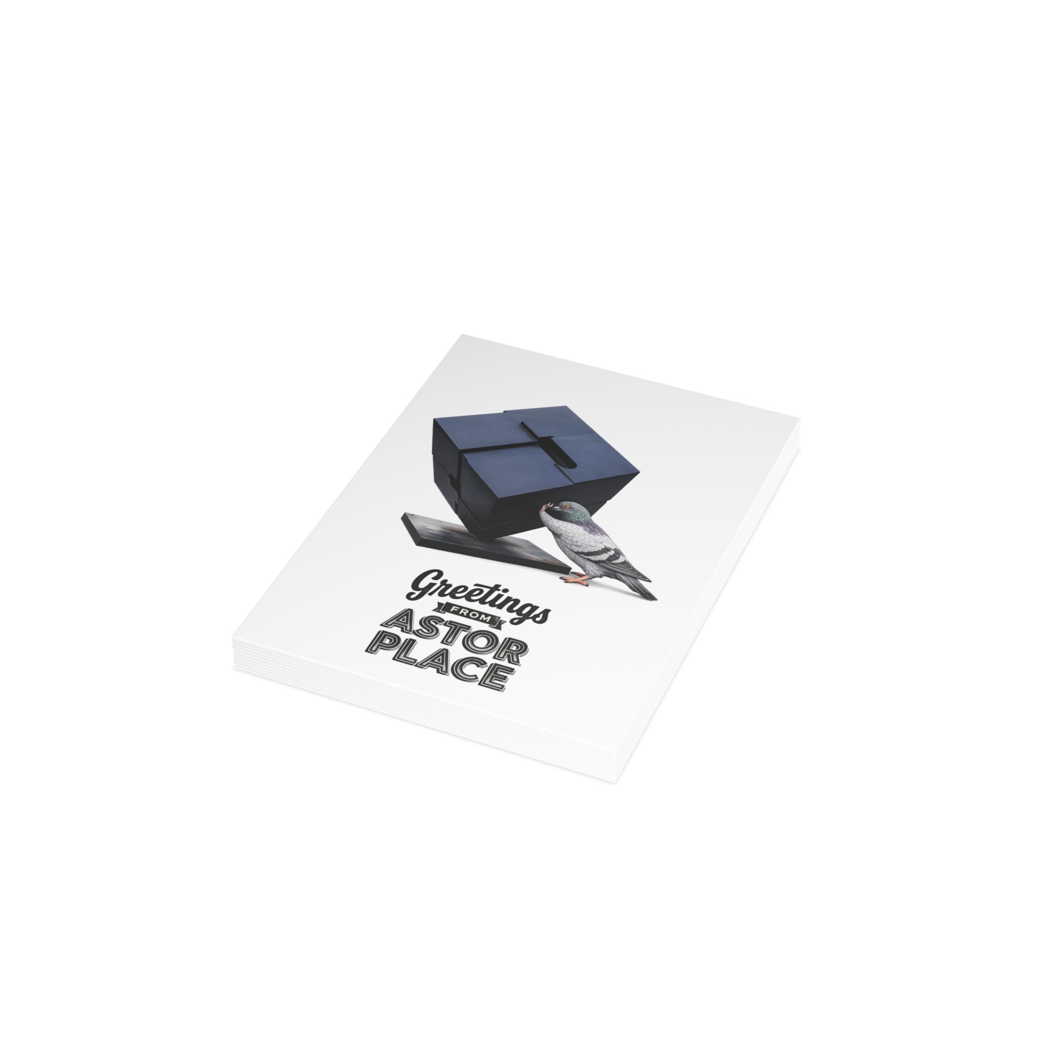 Astor Place NYC Pigeon Postcard Bundle (envelopes included)