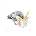 Flushing NYC Pigeon Magnet