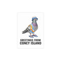 Coney Island NYC Pigeon Postcard Bundle (envelopes included)