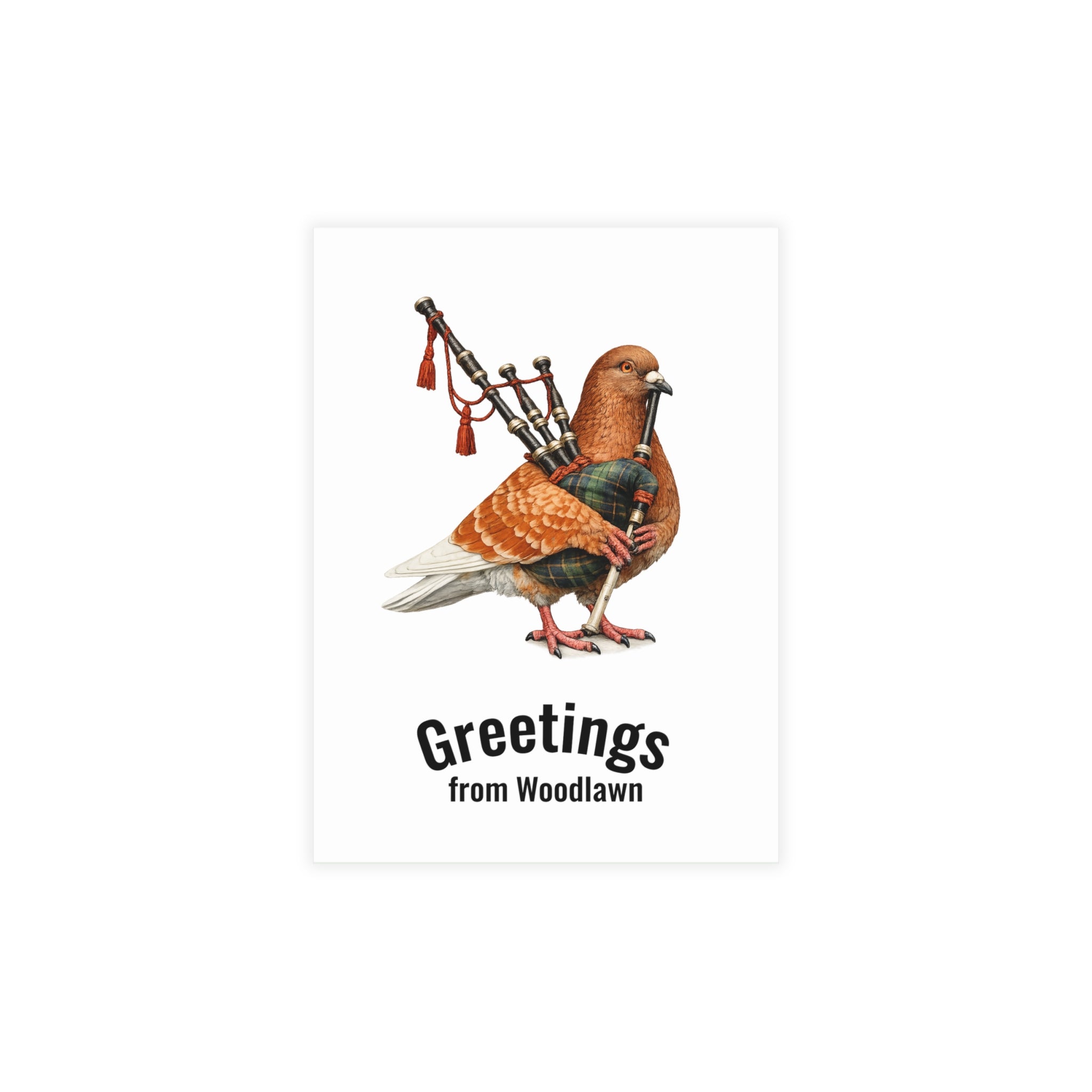 Woodlawn NYC Pigeon Postcard Bundle (envelopes included)