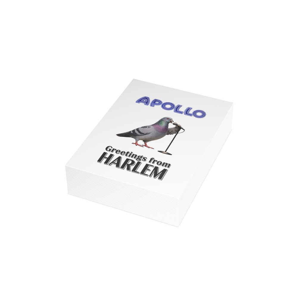 Harlem NYC Pigeon Postcard Bundle (envelopes included)