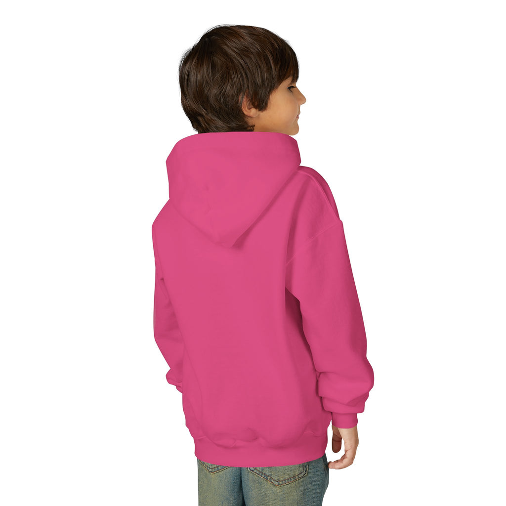 Sudadera con capucha para niños de Broadway NYC con paloma personalizable | Sudadera con capucha para niños amantes de las aves y el teatro de Nueva York