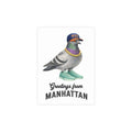Paquete de postales de palomas de Manhattan NYC (sobres incluidos)