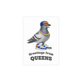 Queens NYC Pigeon Postcard Bundle (envelopes included)
