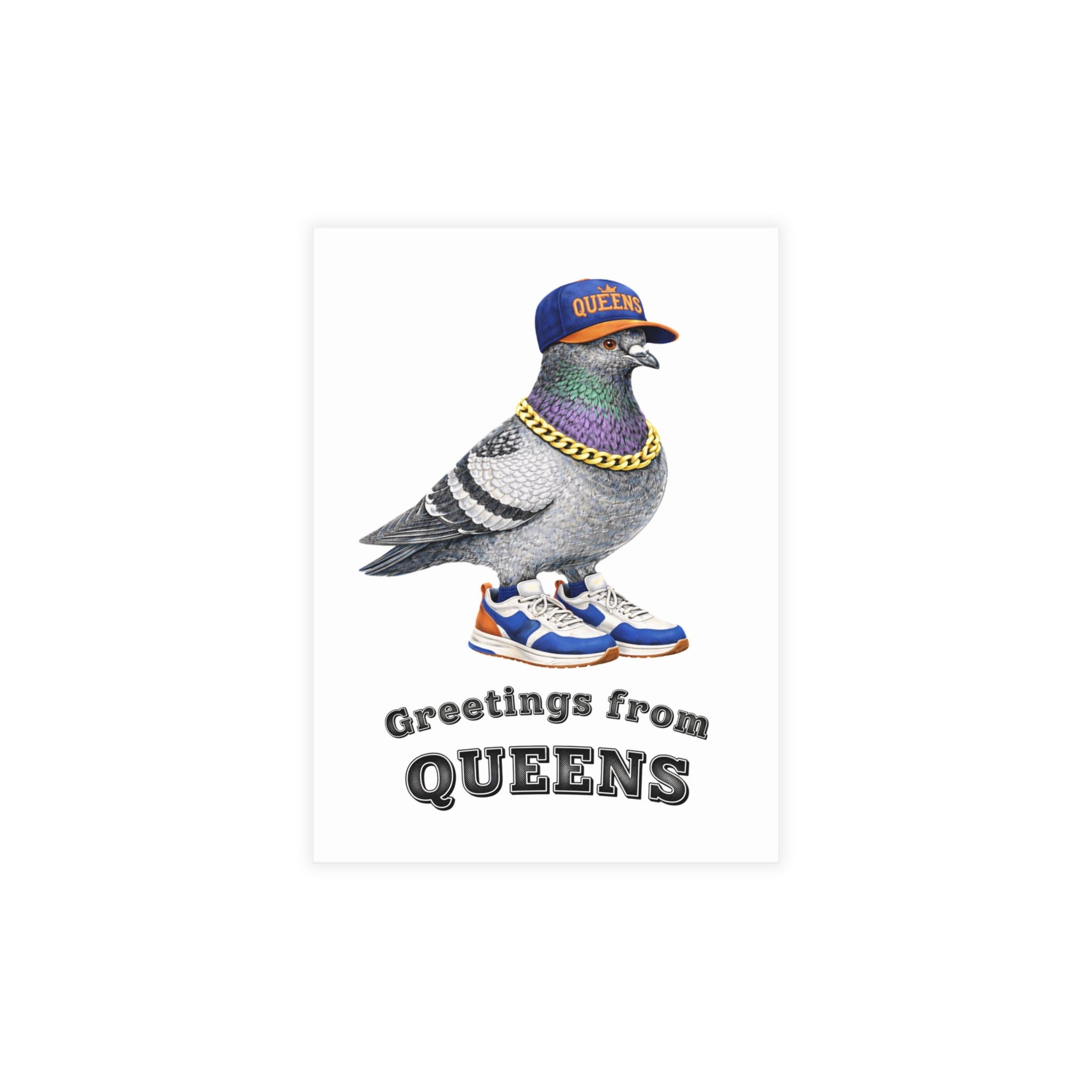 Queens NYC Pigeon Postcard Bundle (envelopes included)