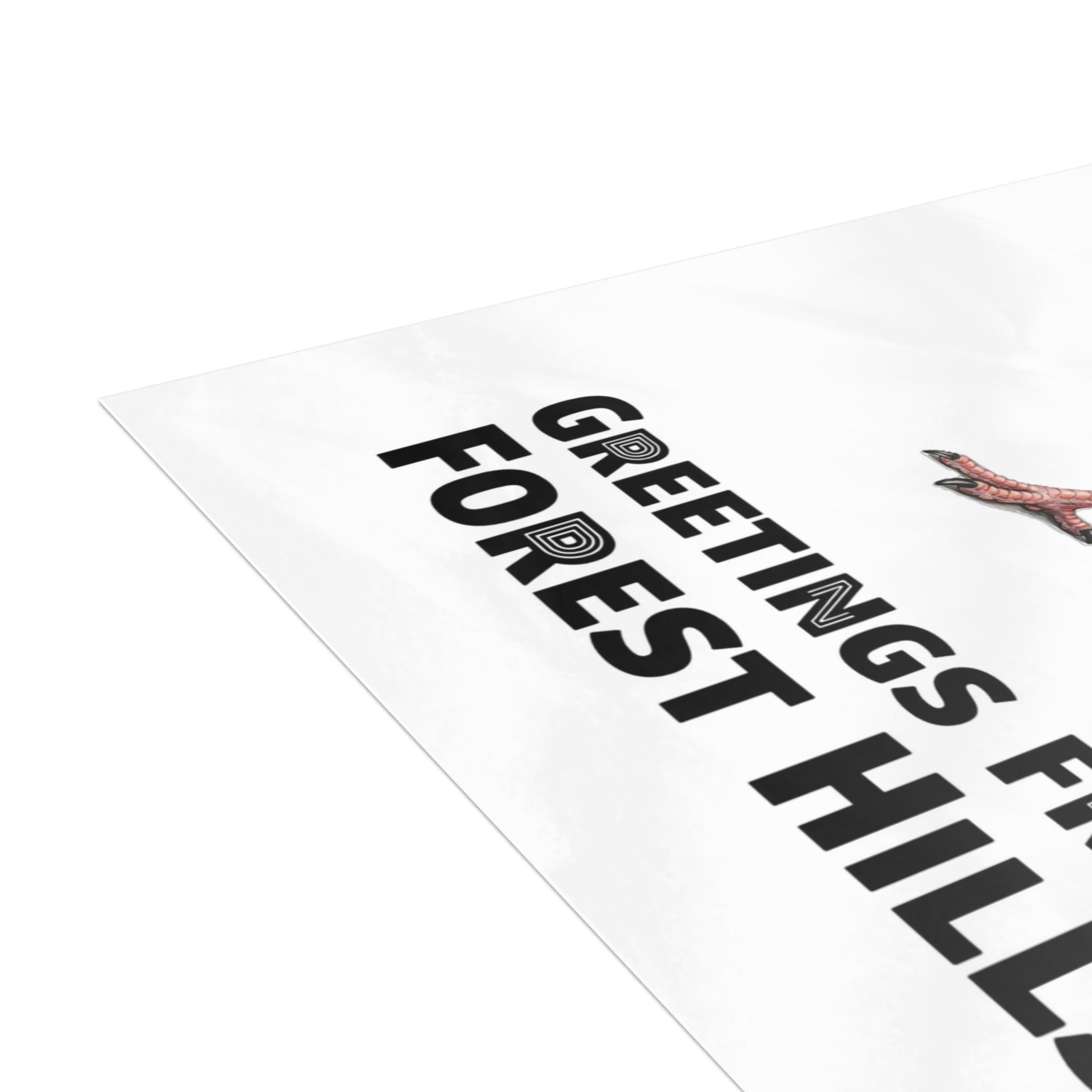Forest Hills NYC Pigeon Postcard Bundle (envelopes included)