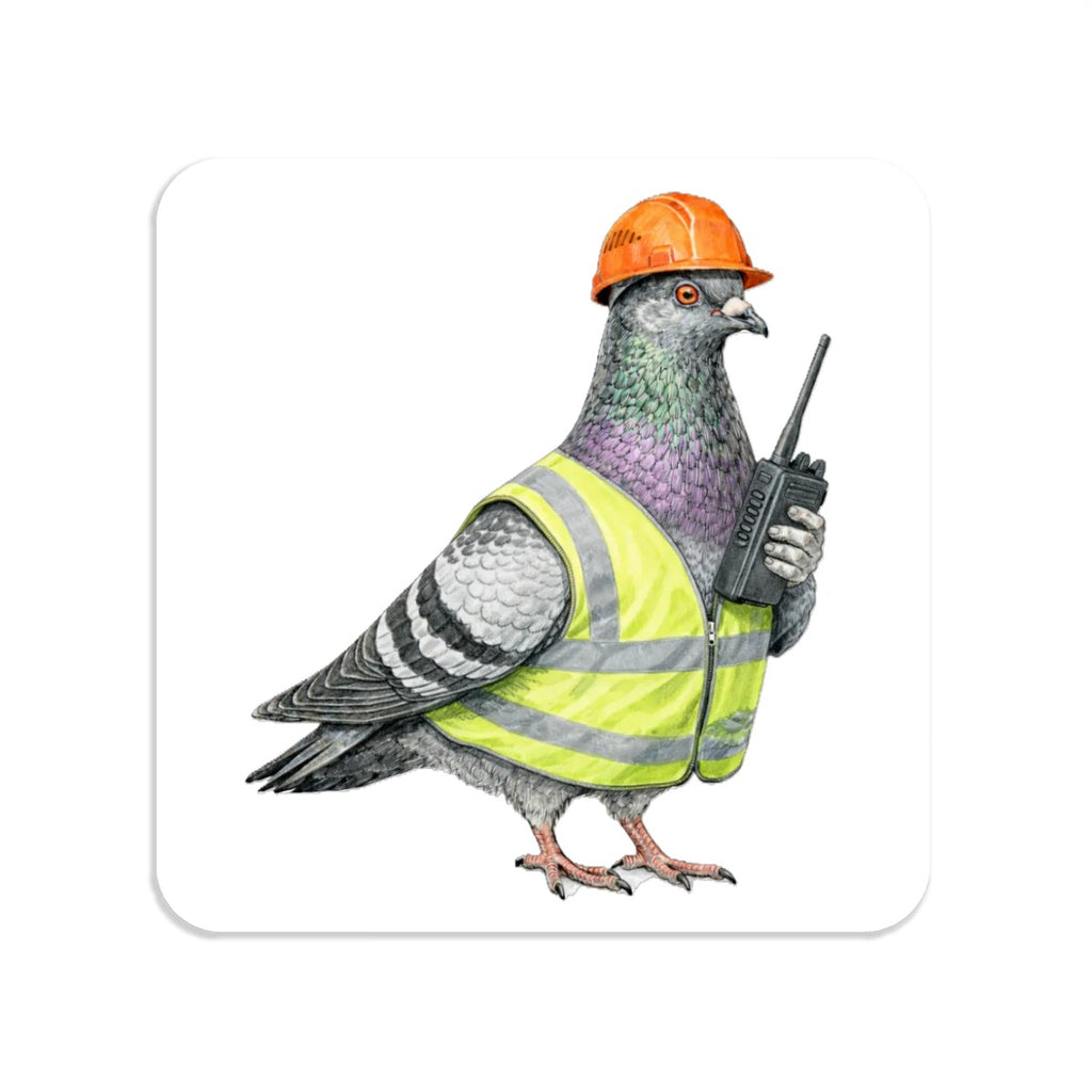 Red Hook NYC Pigeon Magnet