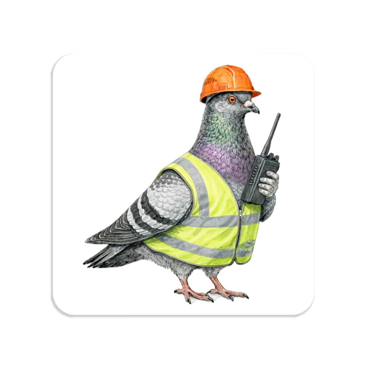 Red Hook NYC Pigeon Magnet