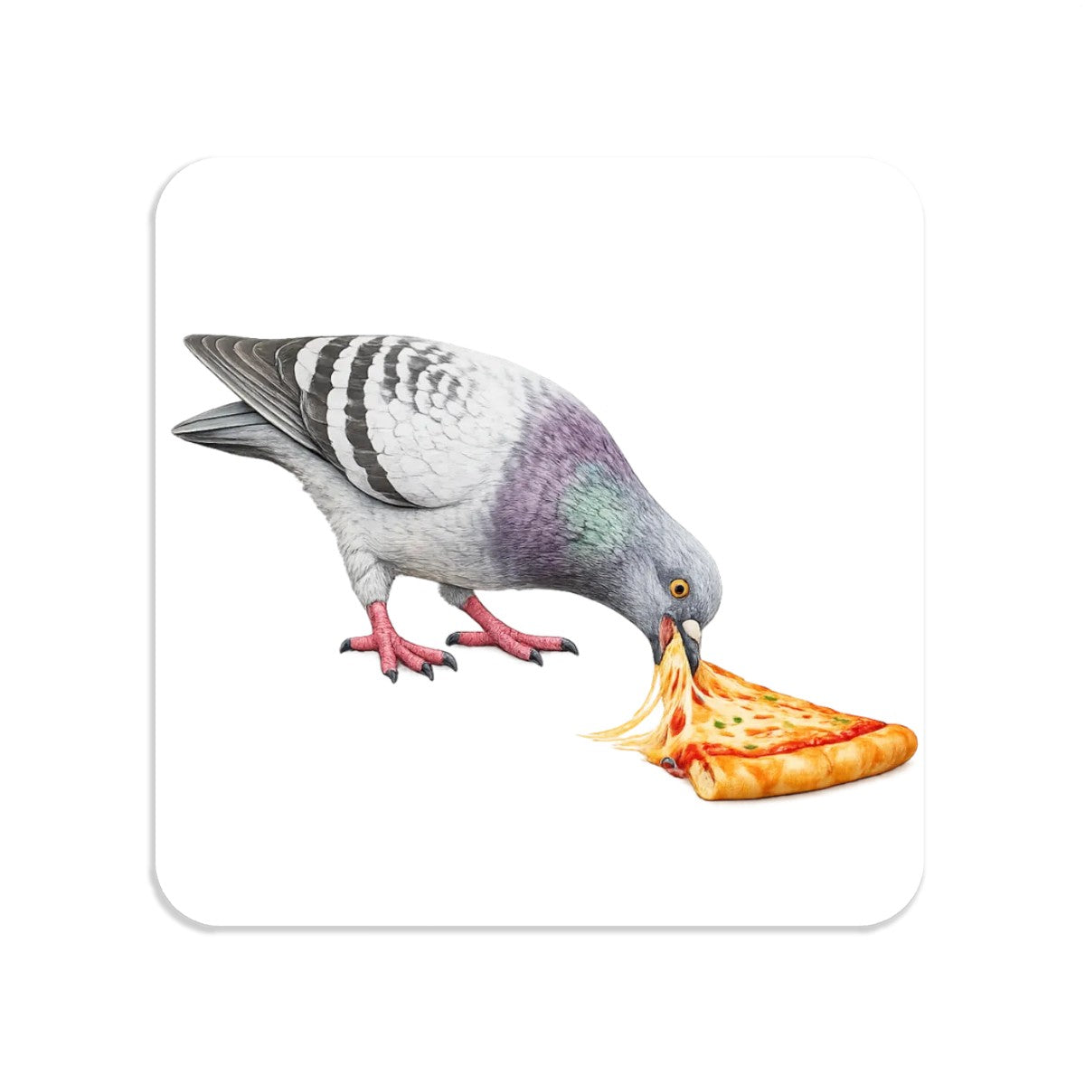 Little Italy NYC Pigeon Magnet