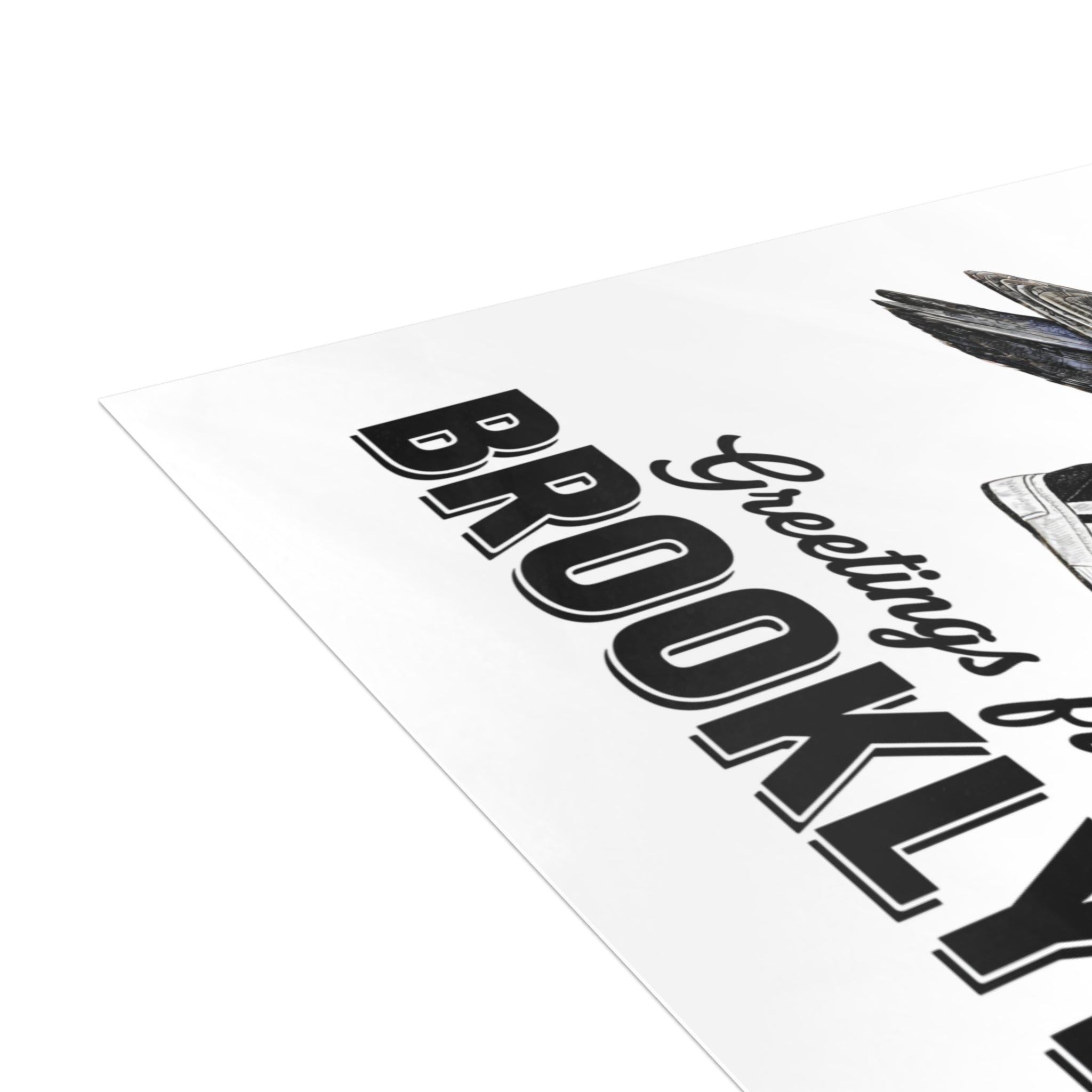 Brooklyn NYC Pigeon Postcard Bundle (envelopes included)
