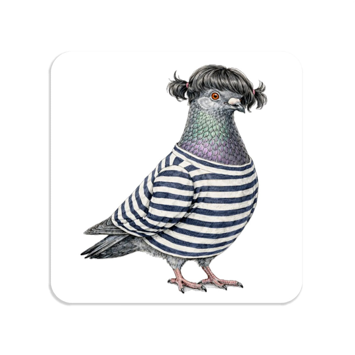 Williamsburg NYC Pigeon
