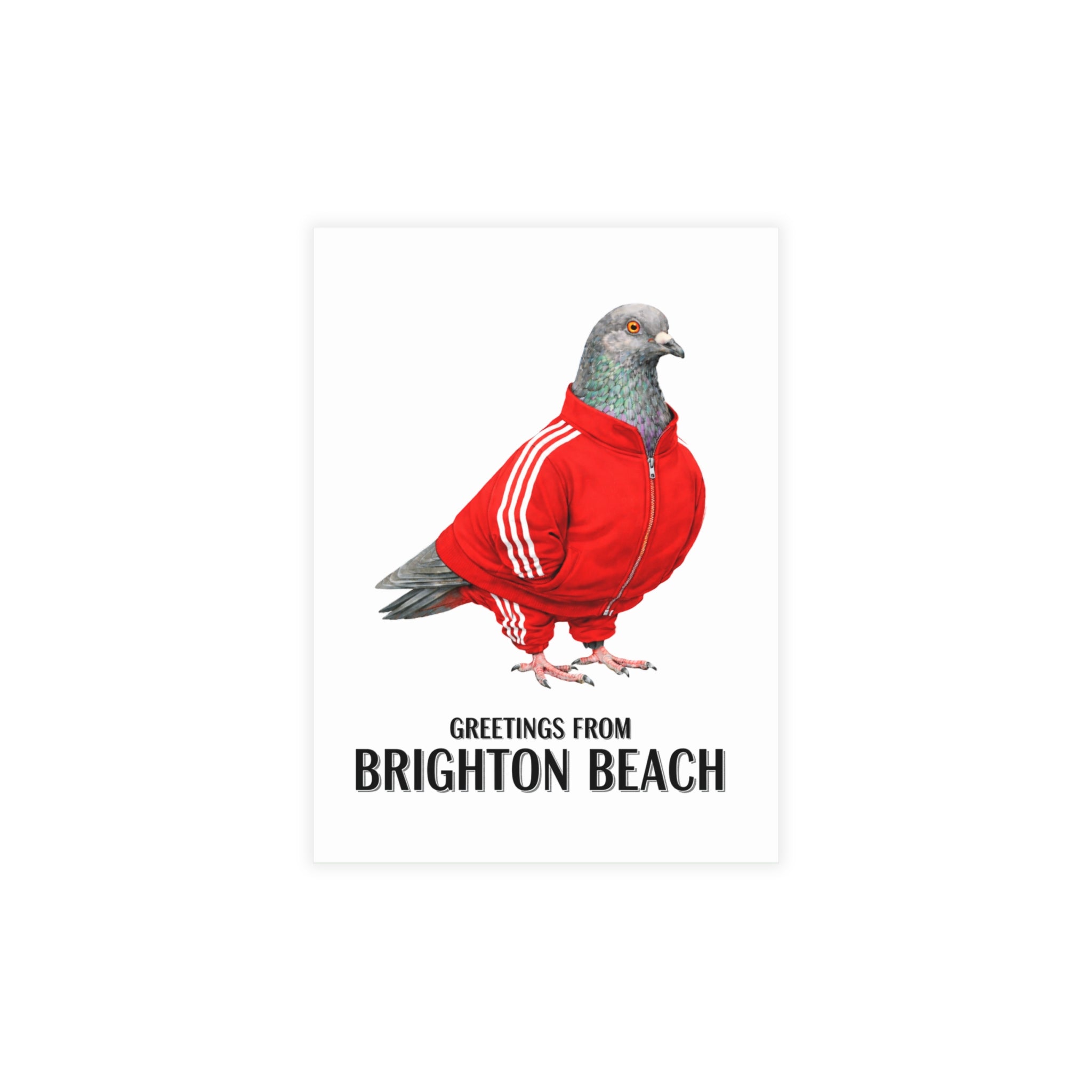 Brighton Beach NYC Pigeon Postcard Bundle (envelopes included)