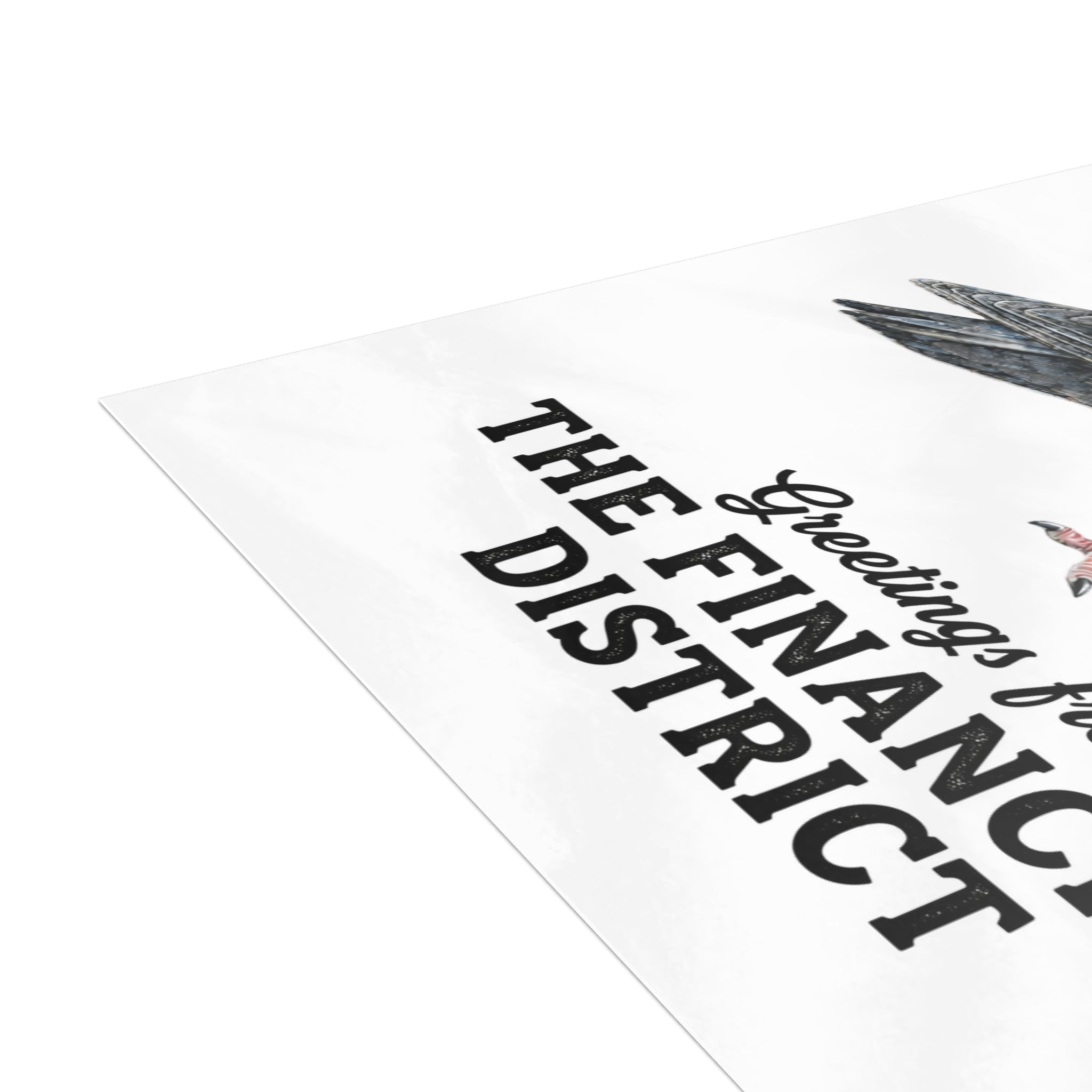 Financial District NYC Pigeon Postcard Bundle (envelopes included)