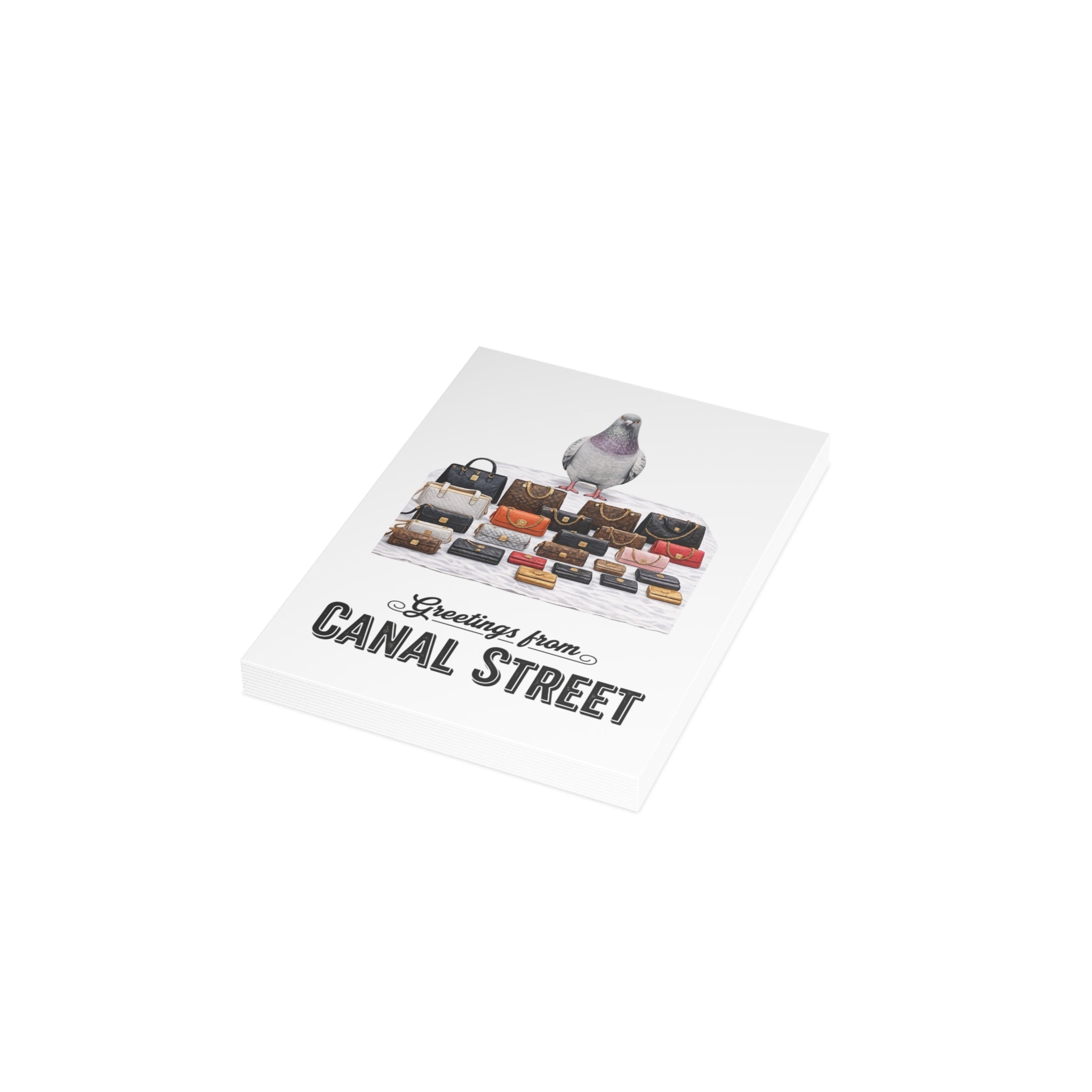 Canal Street NYC Pigeon Postcard Bundle (envelopes included)