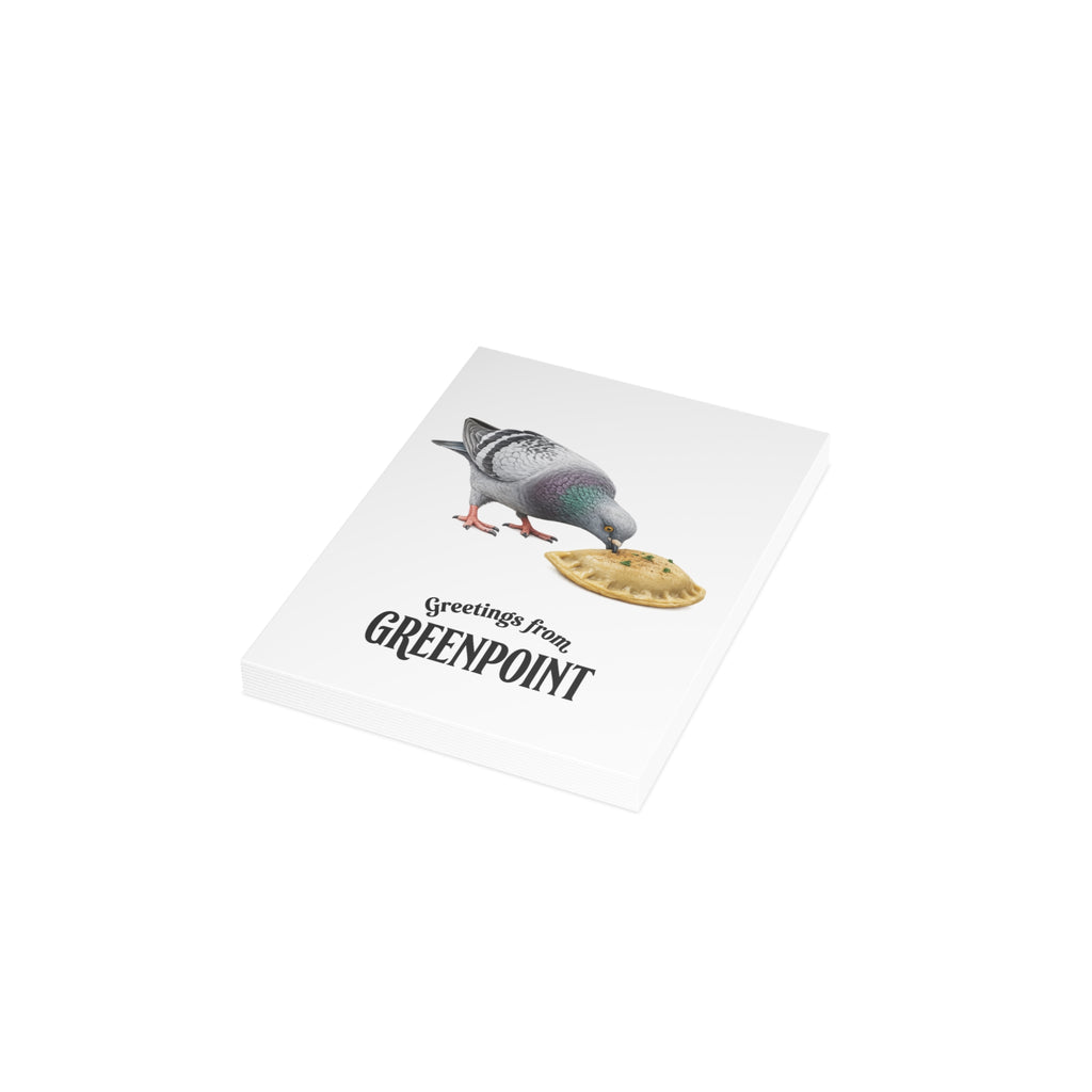 Greenpoint NYC Pigeon Postcard Bundle (envelopes included)