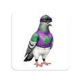 Ozone Park NYC Pigeon Magnet