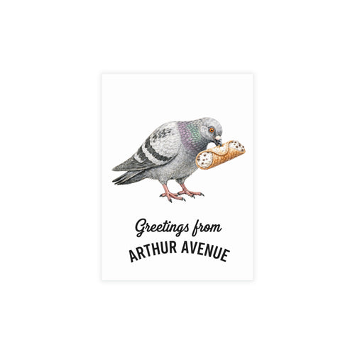 Arthur Avenue NYC Pigeon Postcard Bundle (envelopes included)