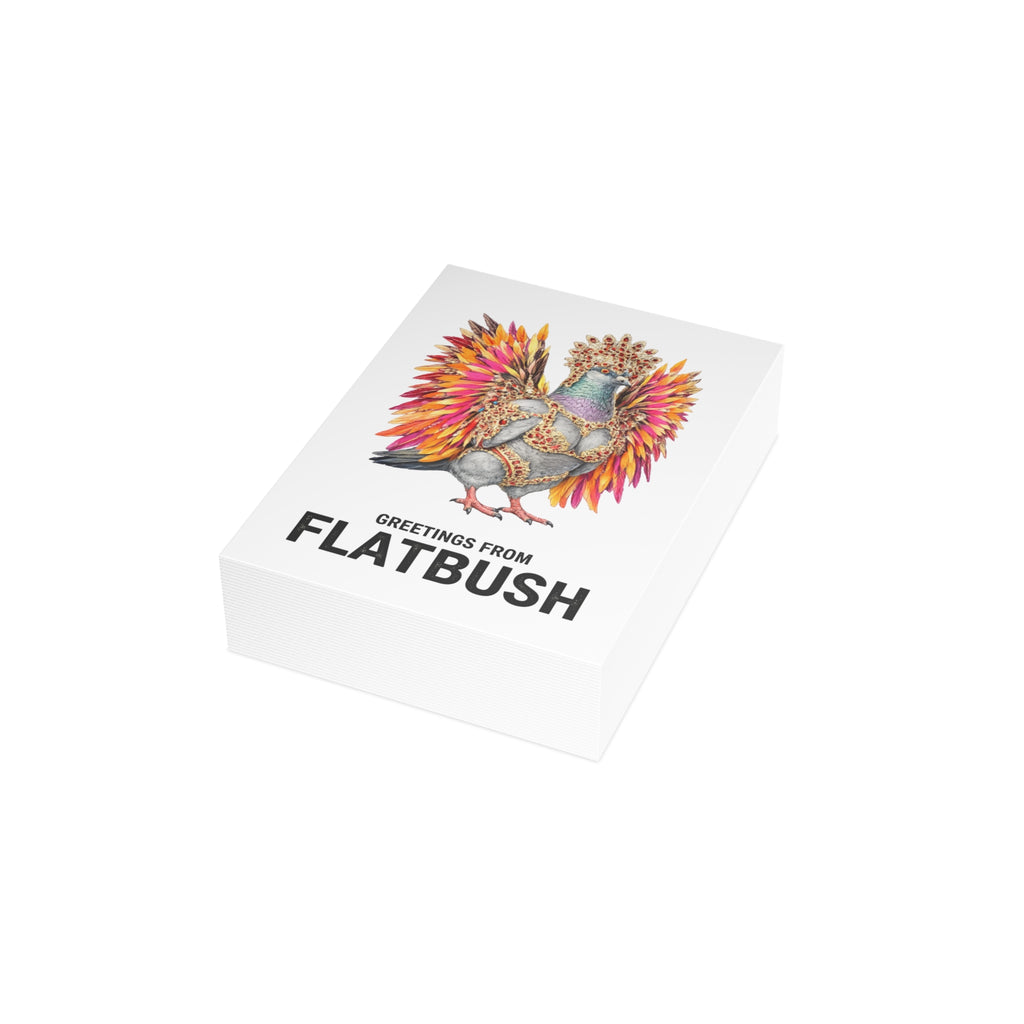 Flatbush NYC Pigeon Postcard Bundle (envelopes included)