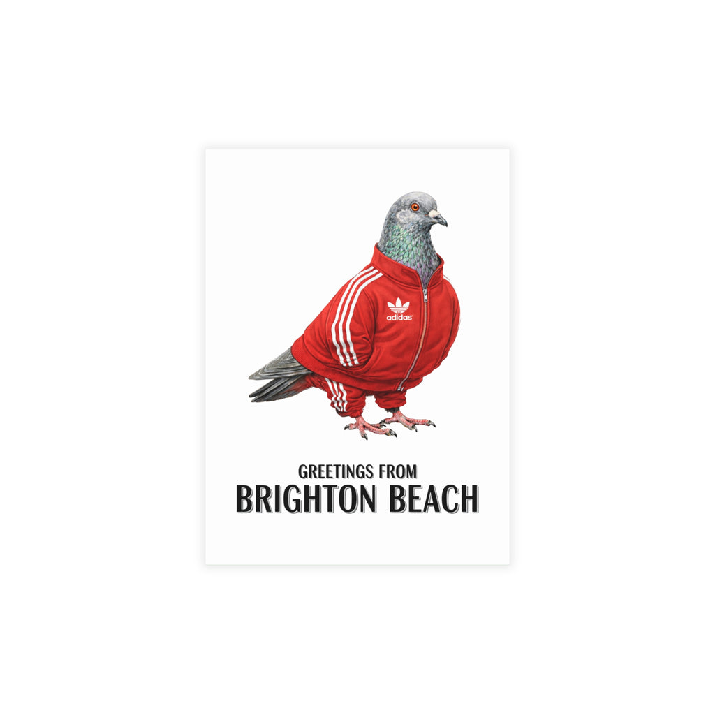 Brighton Beach NYC Pigeon Postcard Bundle (envelopes included)