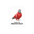 Brighton Beach NYC Pigeon Postcard Bundle (envelopes included)