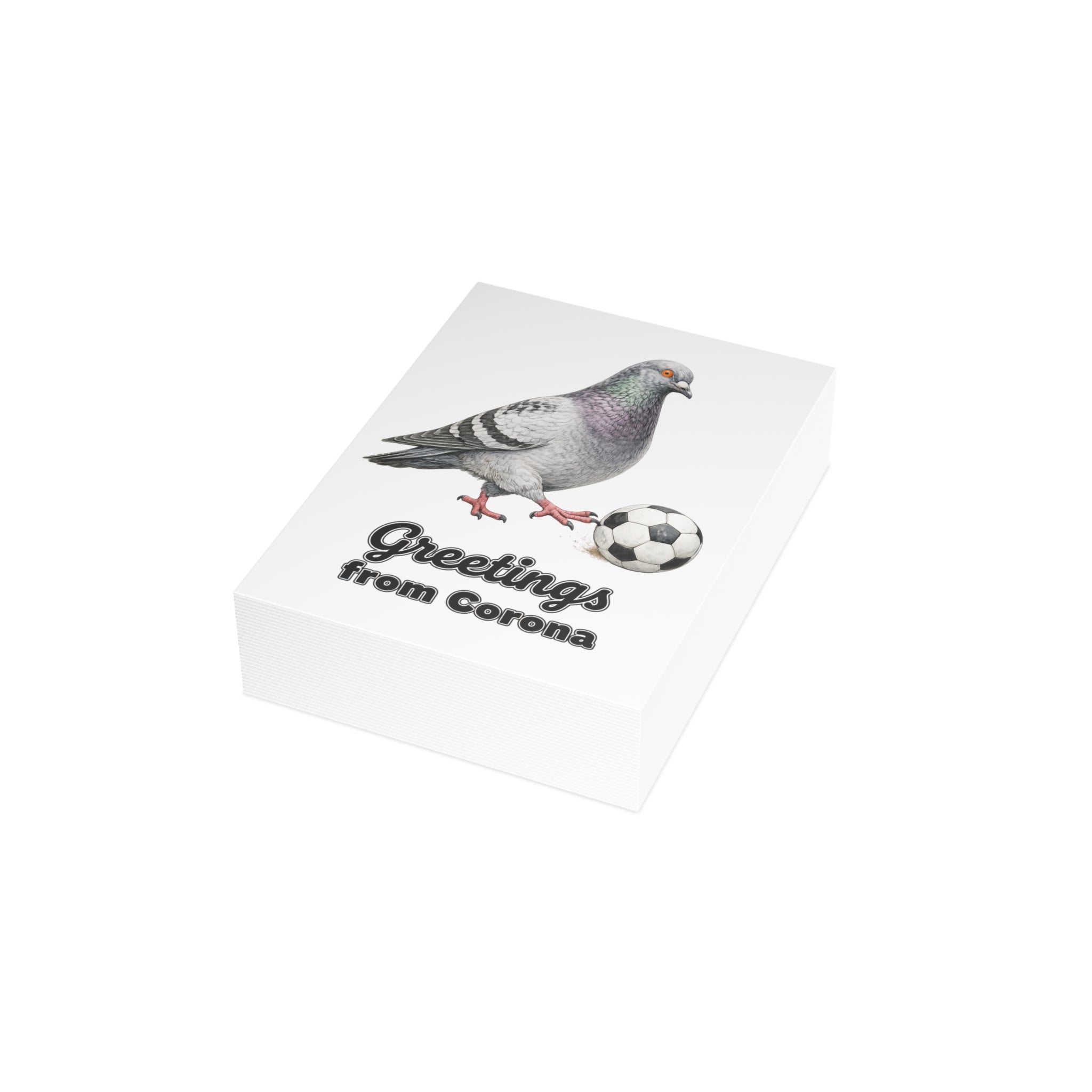 Corona NYC Pigeon Postcard Bundle (envelopes included)