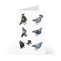 You're One Trendy Bird NYC Pigeon Greeting Cards |  Fashionable Stylish Bird Lover Food Card Pack of 7
