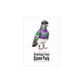 Ozone Park NYC Pigeon Postcard Bundle (envelopes included)