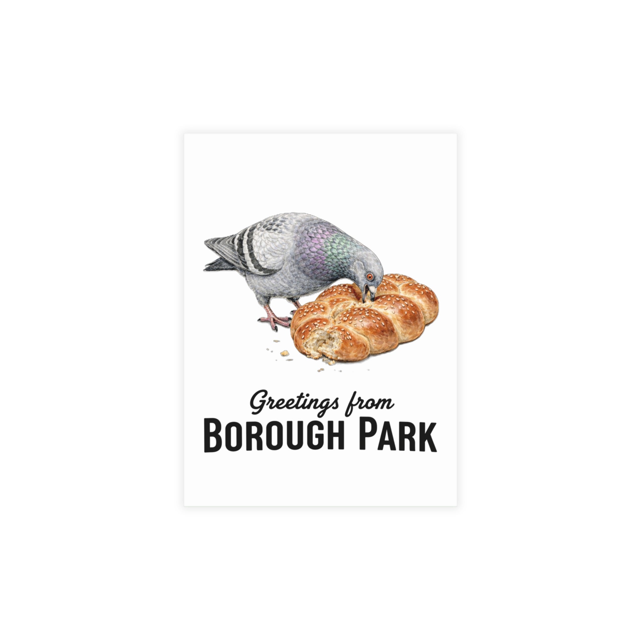 Borough Park NYC Pigeon Postcard Bundle (envelopes included)