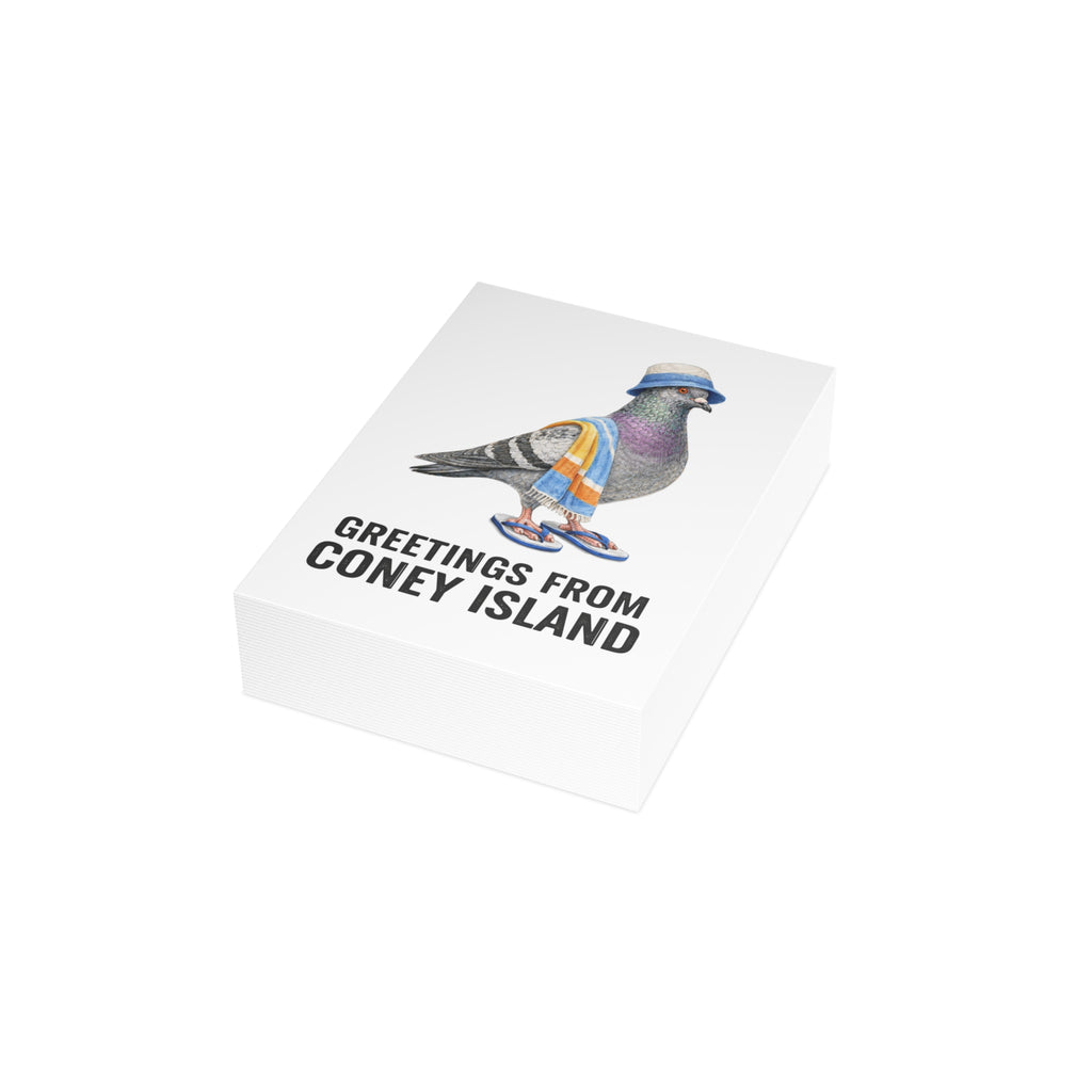 Coney Island NYC Pigeon Postcard Bundle (envelopes included)