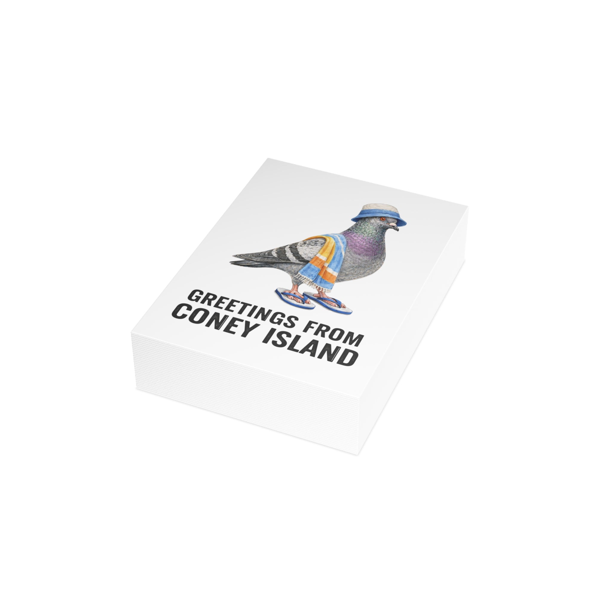 Coney Island NYC Pigeon Postcard Bundle (envelopes included)