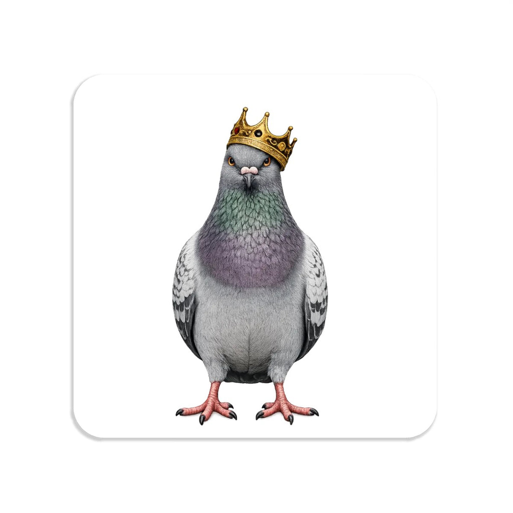 Bedford Stuyvesant NYC Pigeon Magnet