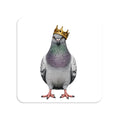 Bedford Stuyvesant NYC Pigeon Magnet