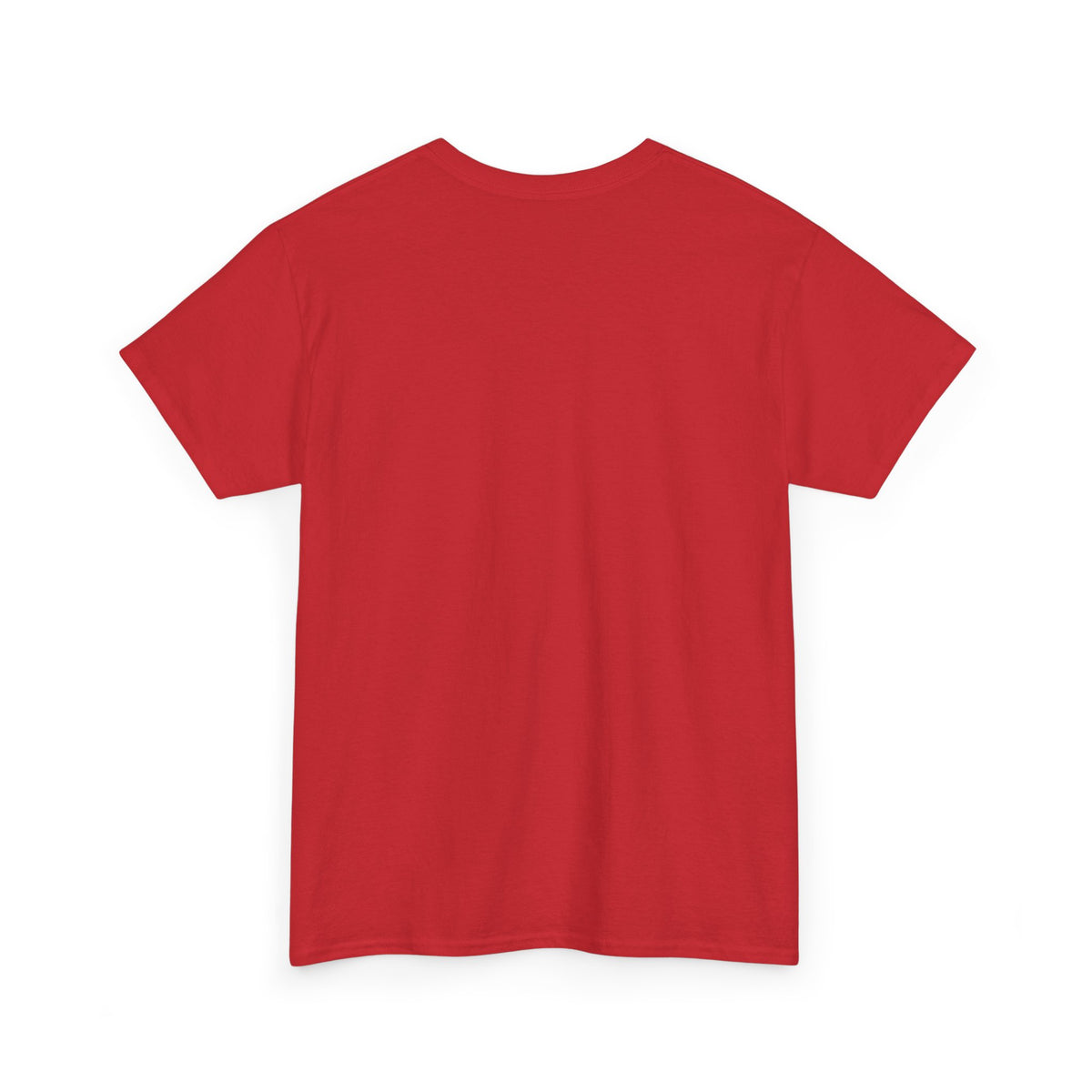 Fallsburg, NY Map T-Shirt  Catskills Upstate New York Tee