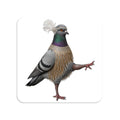 Rockefeller Center NYC Pigeon