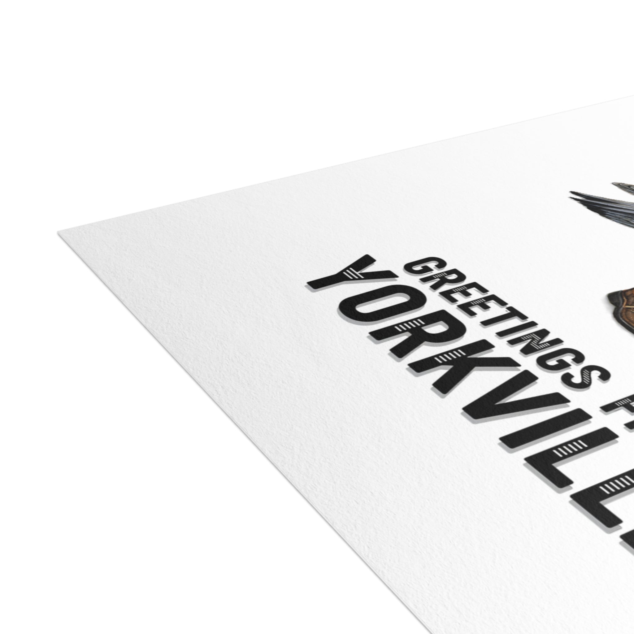 Yorkville NYC Pigeon Postcard Bundle (envelopes included)